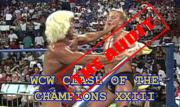 Clash of the Champions XXIII