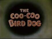 Coo-Coo Bird Dog