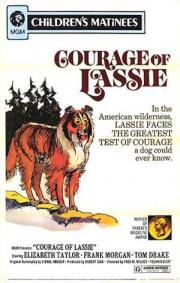 Courage of Lassie