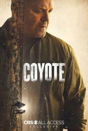 Coyote