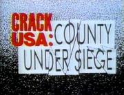 Crack USA: County Under Siege