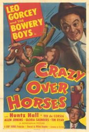 Crazy Over Horses