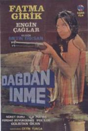 Dagdan inme