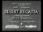 Desert Regatta