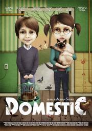 Domestic