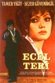 Ecel Teri