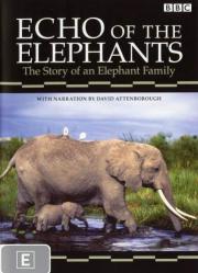 Echo of the Elephants