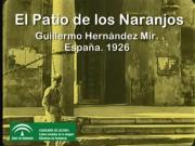 El patio de los naranjos