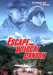 Escape from Wildcat Canyon