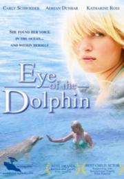 Eye of the Dolphin