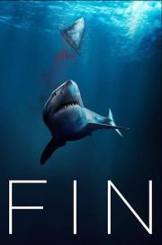 Fin