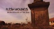 Flesh Wounds: Seven Stories of the Saw