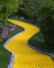 Follow the Yellow Brick Road