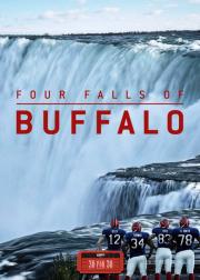 Four Falls of Buffalo