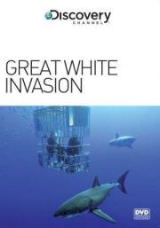 Great White Invasion