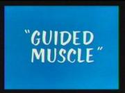 Guided Muscle