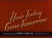 Hair Today, Gone Tomorrow