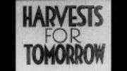 Harvests for Tomorrow