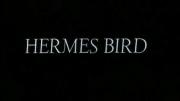 Hermes Bird