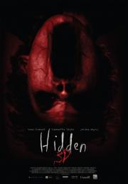 Hidden 3D