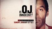 Is O.J. Innocent? The Missing Evidence