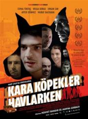 Kara köpekler havlarken