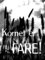 Kornet er i fare