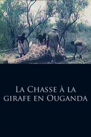 La chasse à la girafe en Ouganda