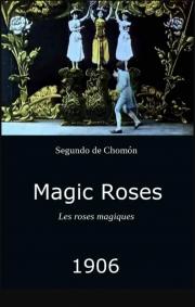 Les roses magiques