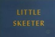 Little Skeeter