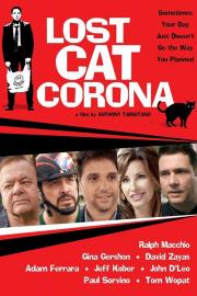 Lost Cat Corona