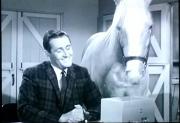 Mister Ed\