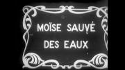 Moïse sauvé des eaux