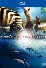 Nature's Most Amazing Events