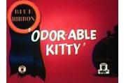 Odor-Able Kitty