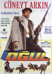 Oğul