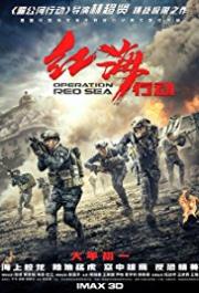 Operation Red Sea