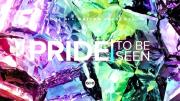 PRIDE: To Be Seen - A Soul of a Nation Presentation