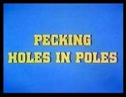 Pecking Holes in Poles