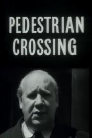 Pedestrian Crossing