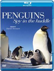 Penguins: Spy in the Huddle