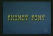 Phoney Pony