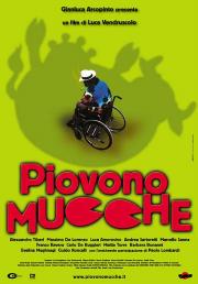 Piovono Mucche