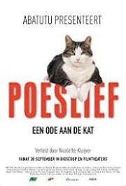 Poeslief: Een ode aan de kat