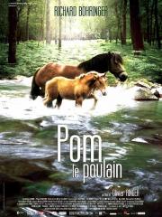 Pom, le poulain