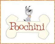 Poochini