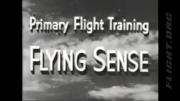 Primary Flight Training: Flight Sense