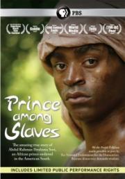 Prince Among Slaves