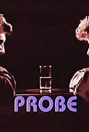 Probe