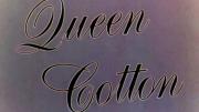 Queen Cotton